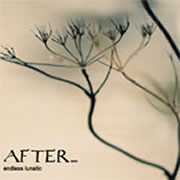 After... - Endless Lunatic