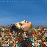 Pineapple Thief